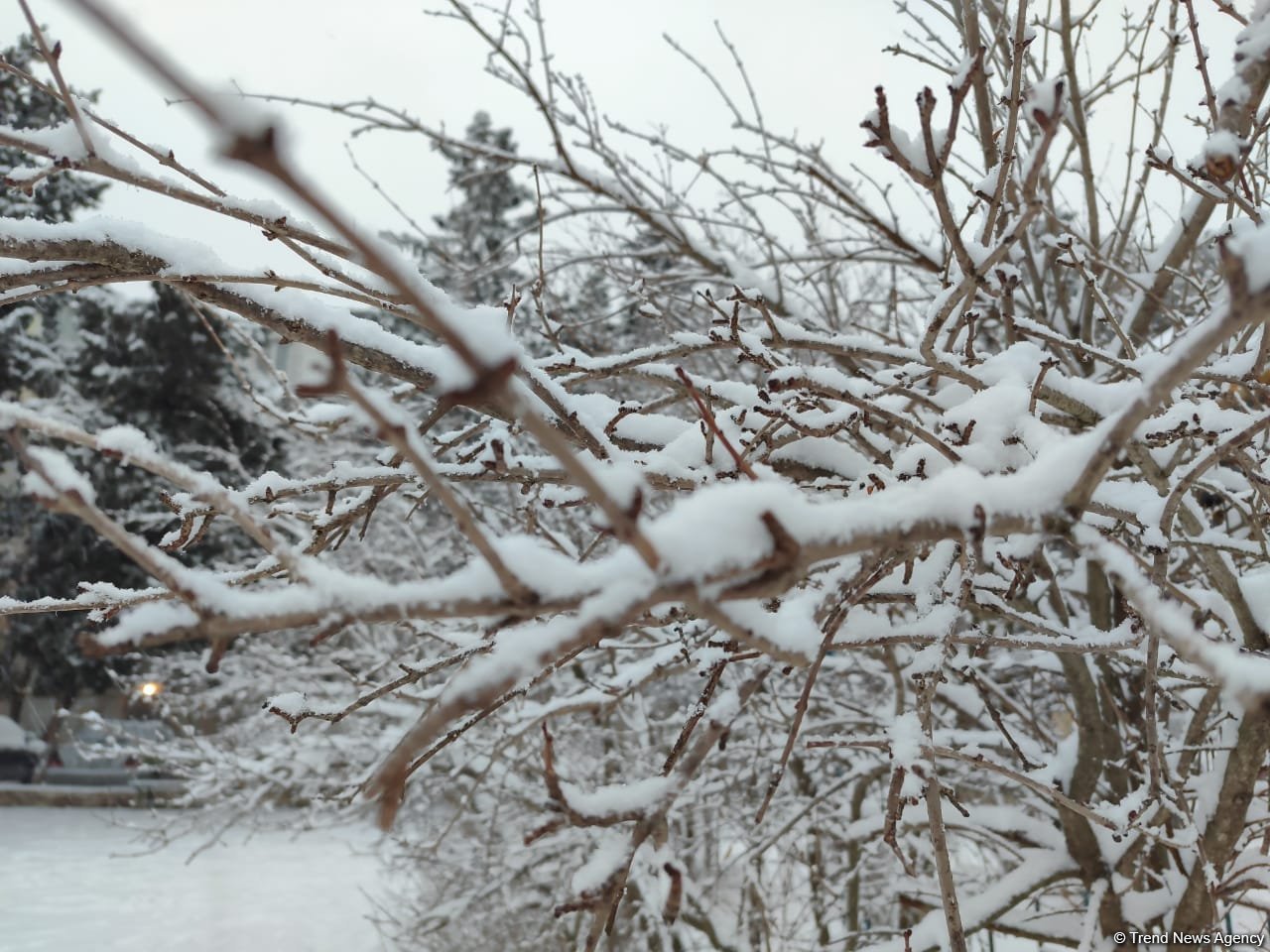 Rayonlara qar yağıb - FAKTİKİ HAVA