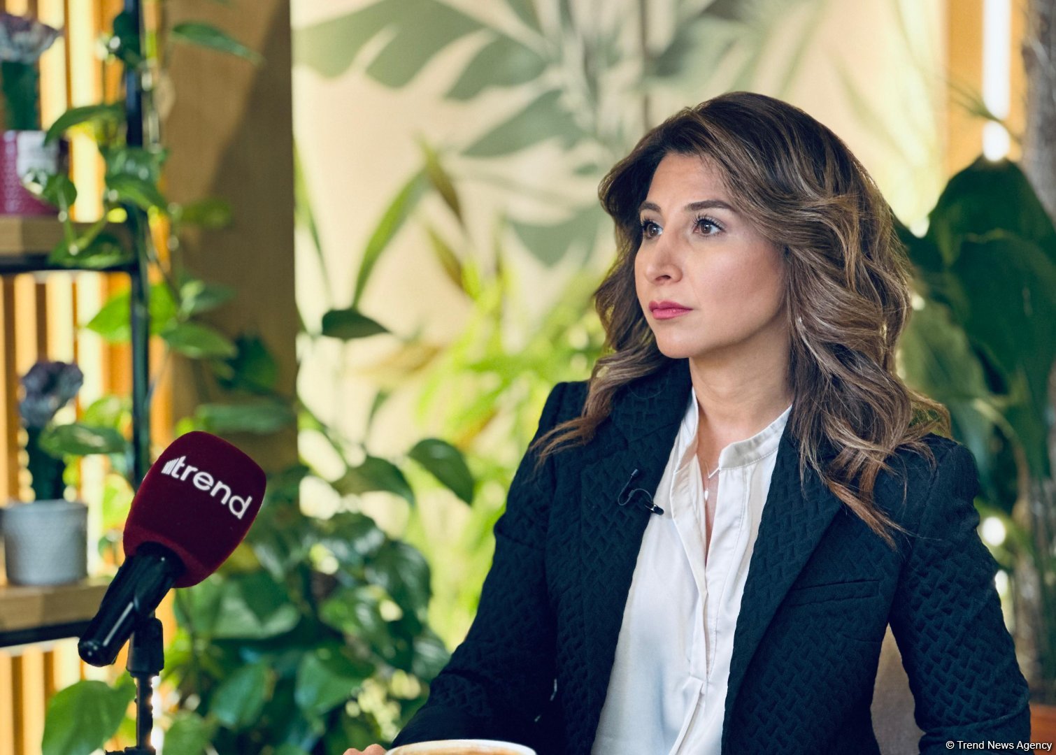 COP29-un Bakıda keçirilməsi ətraf mühitin mühafizəsi işinə töhfənin göstəricisidir - PwC Azerbaijan