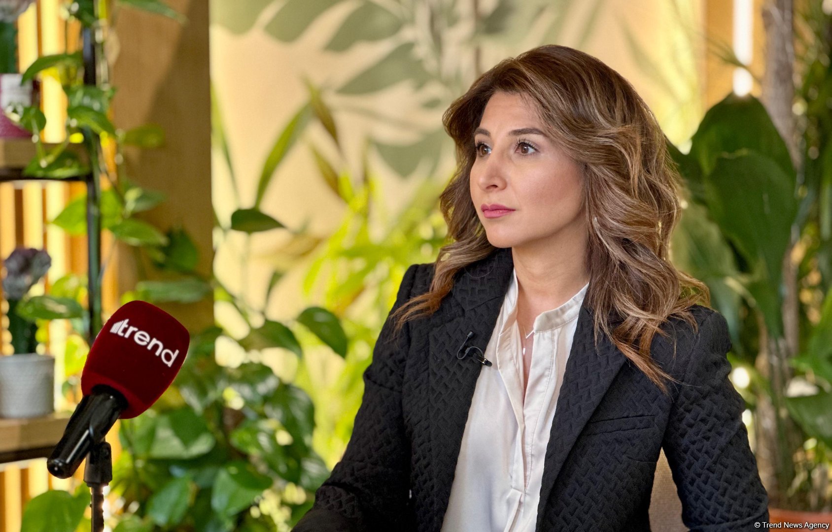 COP29-un Bakıda keçirilməsi ətraf mühitin mühafizəsi işinə töhfənin göstəricisidir - PwC Azerbaijan