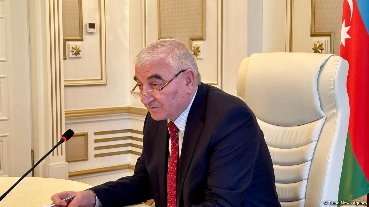 Prezident seçkilərinin yekun nəticələri açıqlanıb (FOTO)
