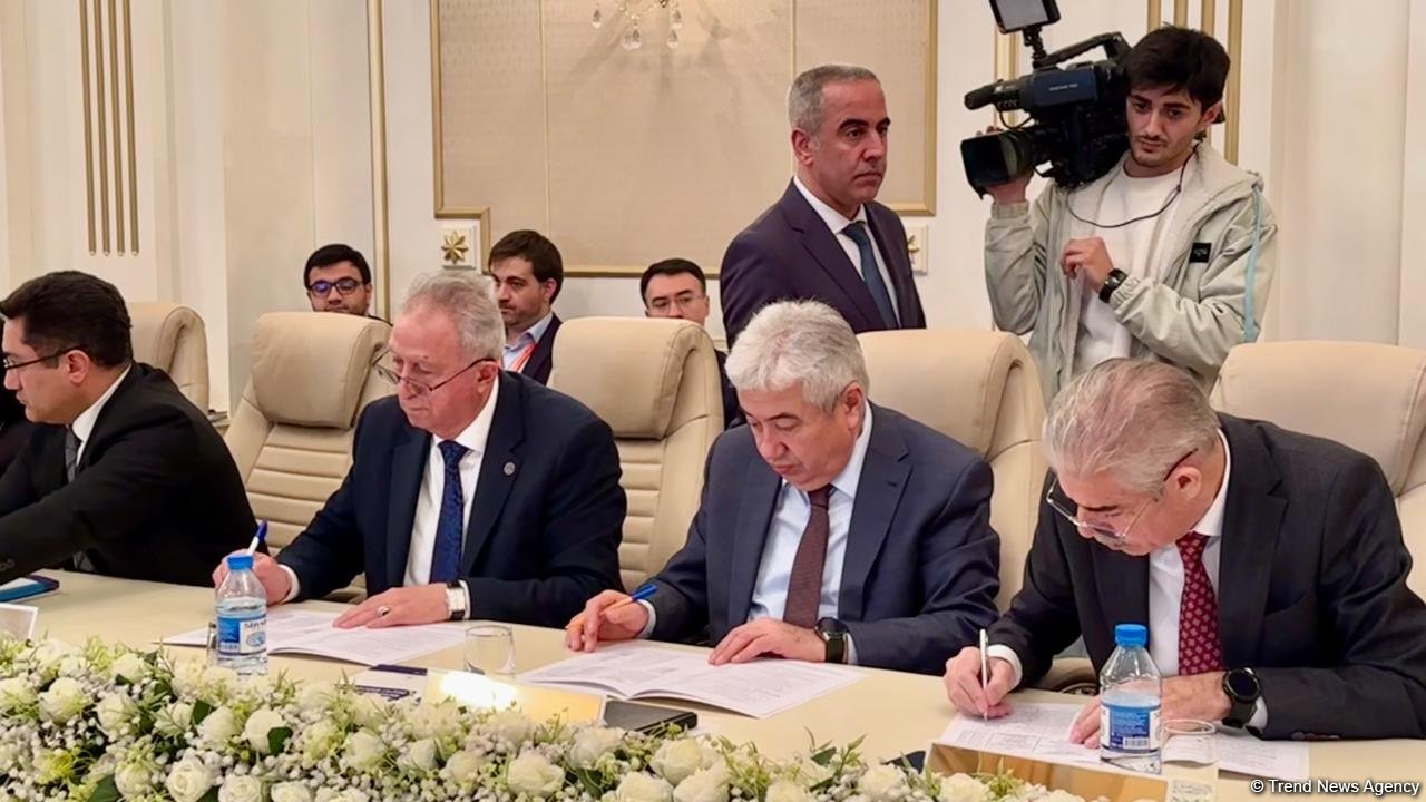 Prezident seçkilərinin yekun nəticələri açıqlanıb (FOTO)