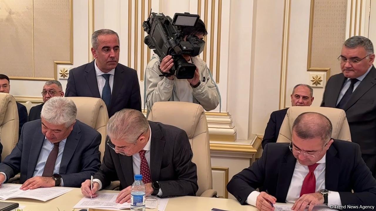 Prezident seçkilərinin yekun nəticələri açıqlanıb (FOTO)