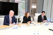 SOCAR-ın prezidenti bp-nin icraçı vitse-prezidenti ilə görüşüb - FOTO