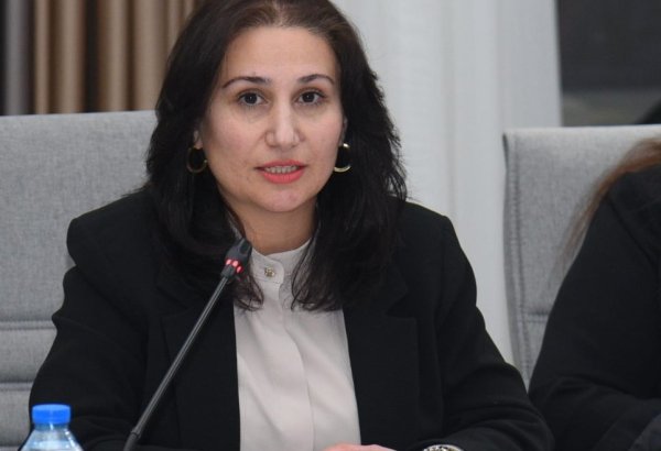 Erkən nikahla mübarizədə qanunvericilikdə boşluqlar var - Taliyə İbrahimova