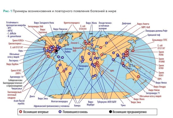 Epidemiyalar, pandemiyalar - Ölkələr regional əməkdaşlığa hazırdırmı?