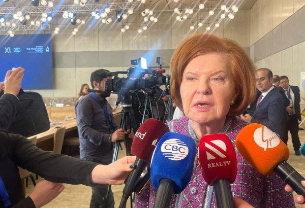 COP29 qərarların qəbulu baxımından çox əhəmiyyətli tədbirdir - Nizami Gəncəvi Beynəlxalq Mərkəzinin həmsədri