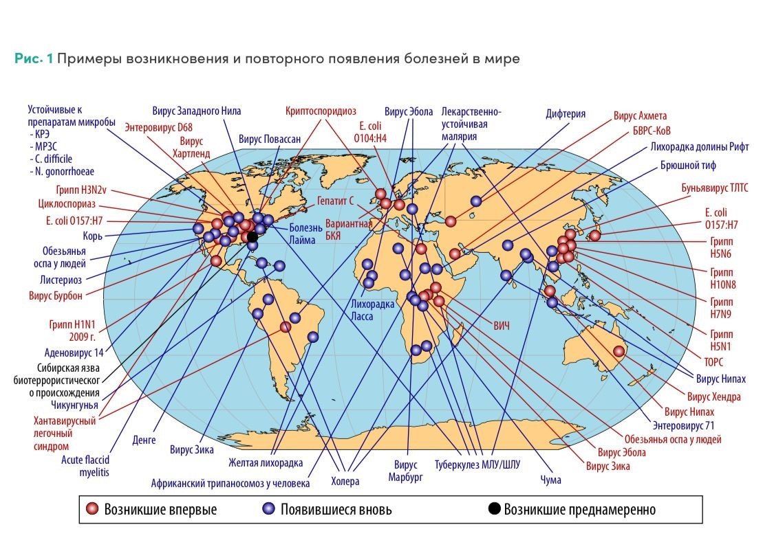 Epidemiyalar, pandemiyalar - Ölkələr regional əməkdaşlığa hazırdırmı?