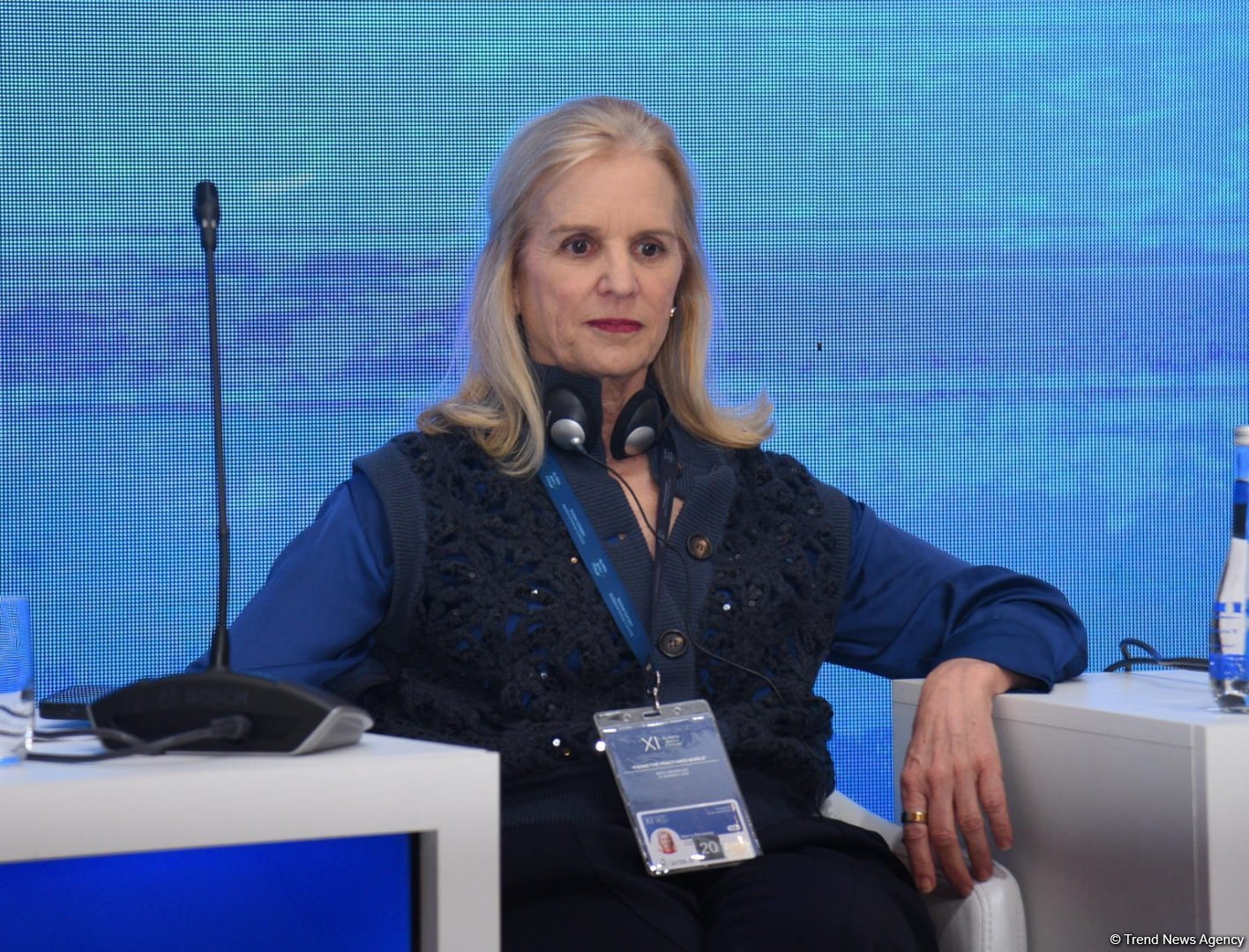 XI Qlobal Bakı Forumu panel iclasları ilə davam edir (FOTO)