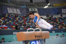 Bakıda idman gimnastikası üzrə "AGF Trophy" beynəlxalq turnir yarışlarının ikinci günü keçirilir (FOTO)