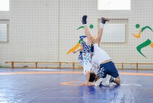 Avropa çempionatında yüksək nəticələr əldə etmiş güləşçilərlə və Xarici Dillər Təmayüllü Gimnaziyada təhsil alan şagird-güləşçilərlə görüş keçirilib (FOTO)