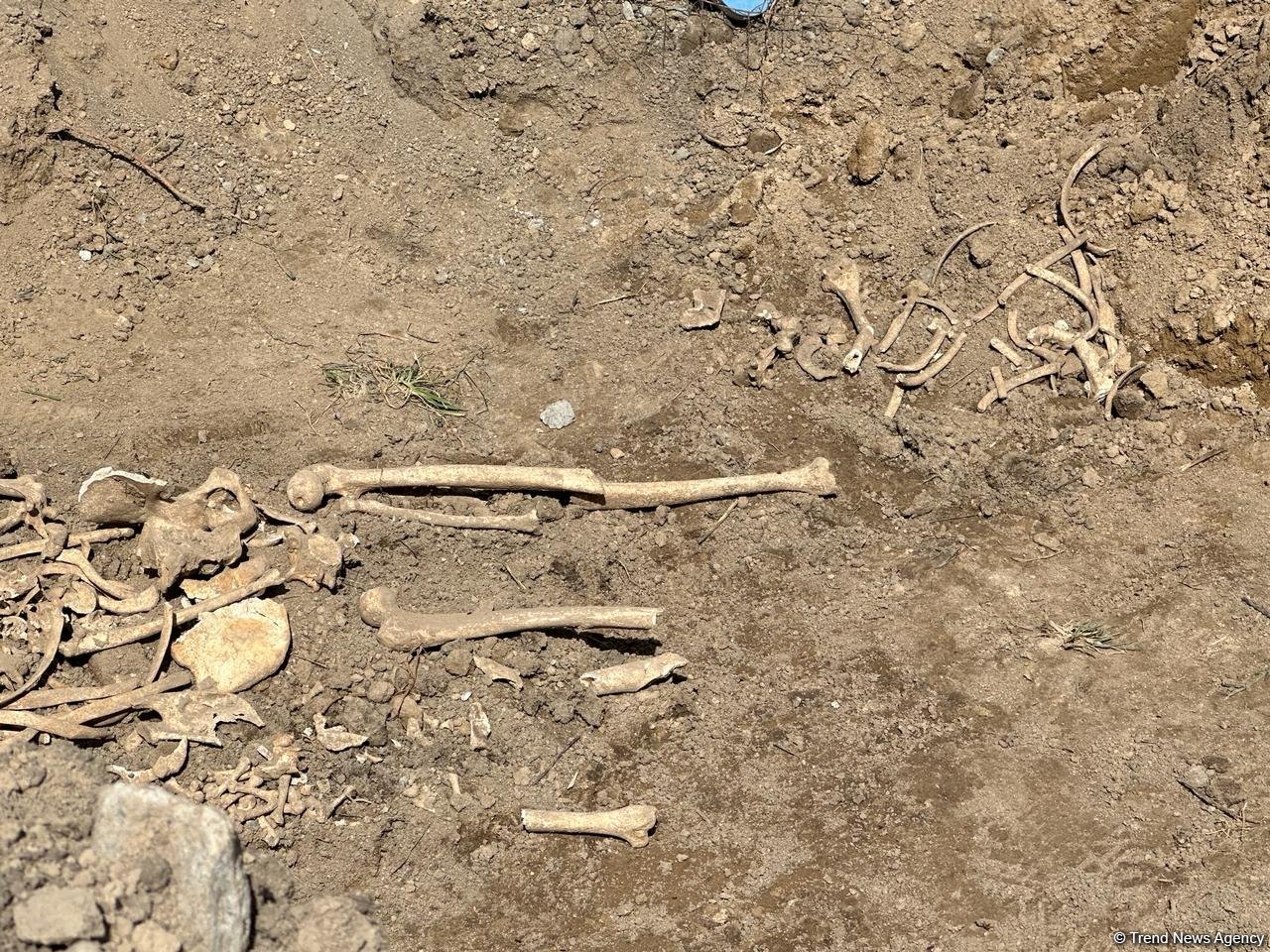 Xocalıda insan qalıqları aşkarlan yerdən GÖRÜNTÜLƏR (FOTO)