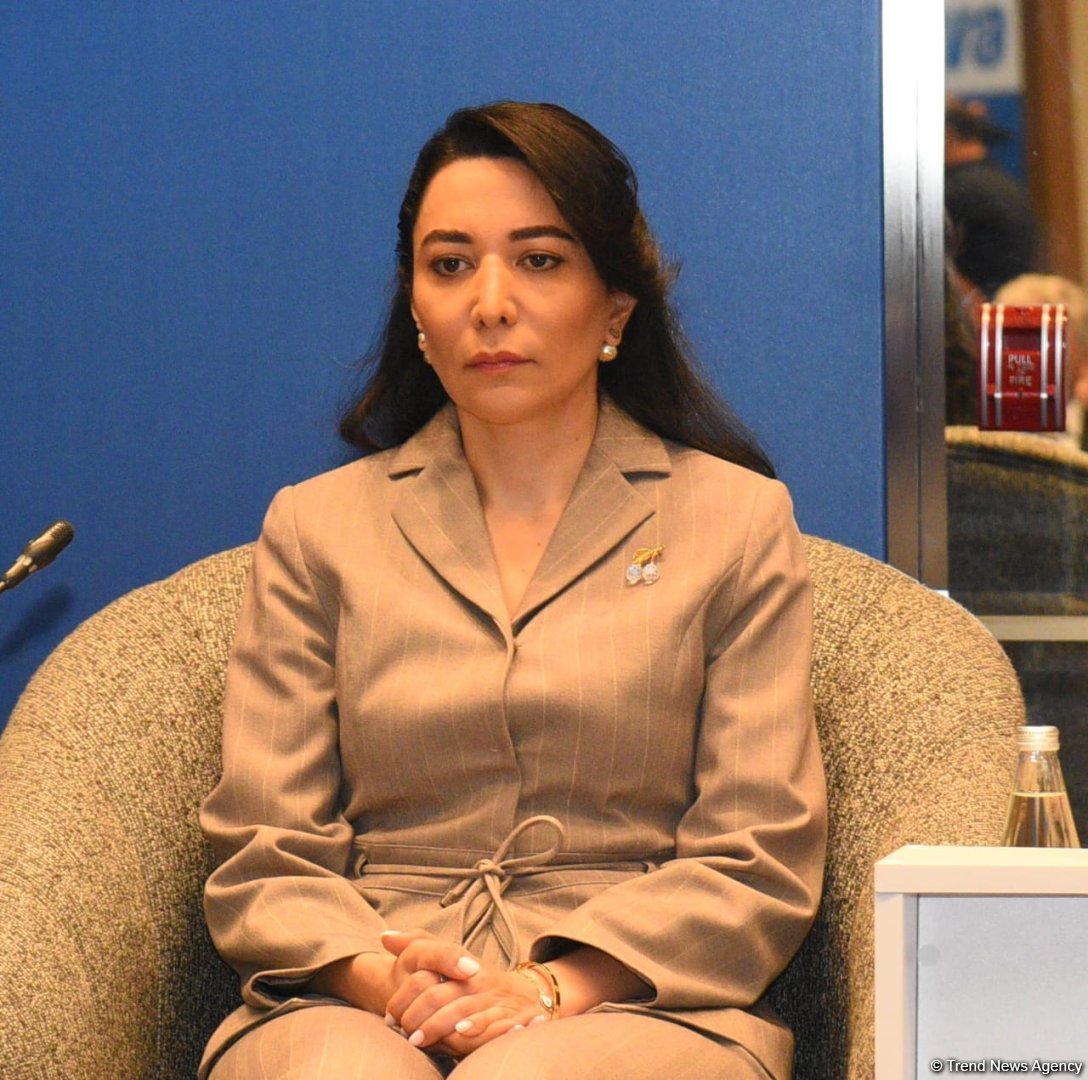 “Rəqəmsal cinayət prosesi: müasir çağırışlar və hədəflər” mövzusunda konfrans keçirilib (FOTO)