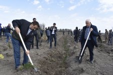 Qarabağda Mina Xəbərdarlığı Günü ilə bağlı ağacəkmə aksiyası keçirilib (FOTO)