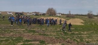 Qarabağda Mina Xəbərdarlığı Günü ilə bağlı ağacəkmə aksiyası keçirilib (FOTO)