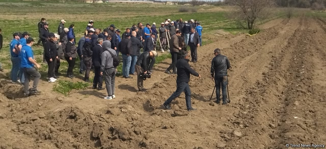 Qarabağda Mina Xəbərdarlığı Günü ilə bağlı ağacəkmə aksiyası keçirilib (FOTO)