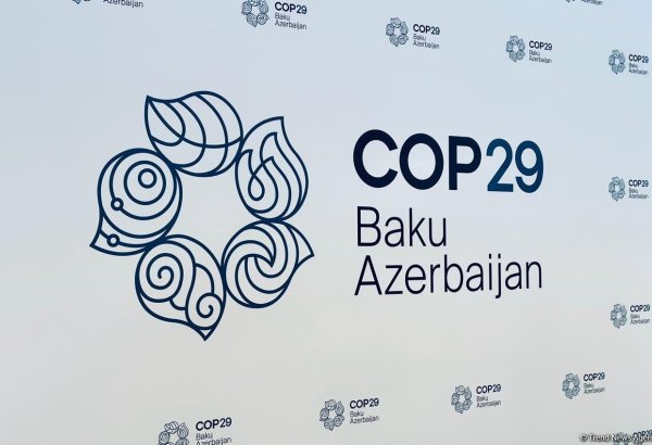 İqlim dəyişmələri ilə necə mübarizə aparmalı: COP29-a hazırlıq