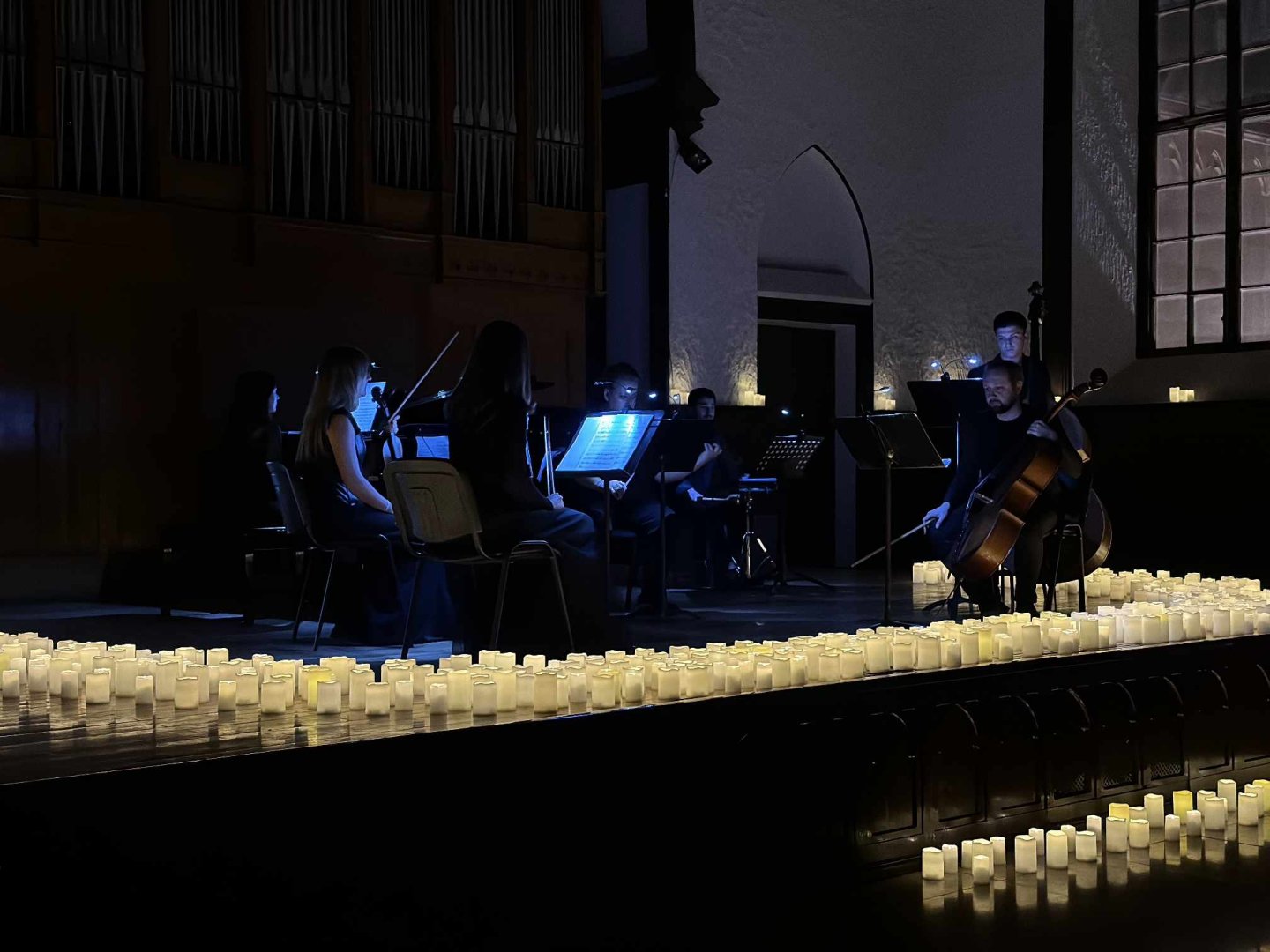 Divaların ruhu: Tina Törner, Whitney Houston, Selin Dion, Adel. Mystery Ensemble. Şam işığında konsert (FOTO)