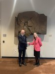 ABŞ-də IEA ilə enerji səmərəliliyi və COP29 üzrə əməkdaşlıq müzakirə edilib (FOTO)