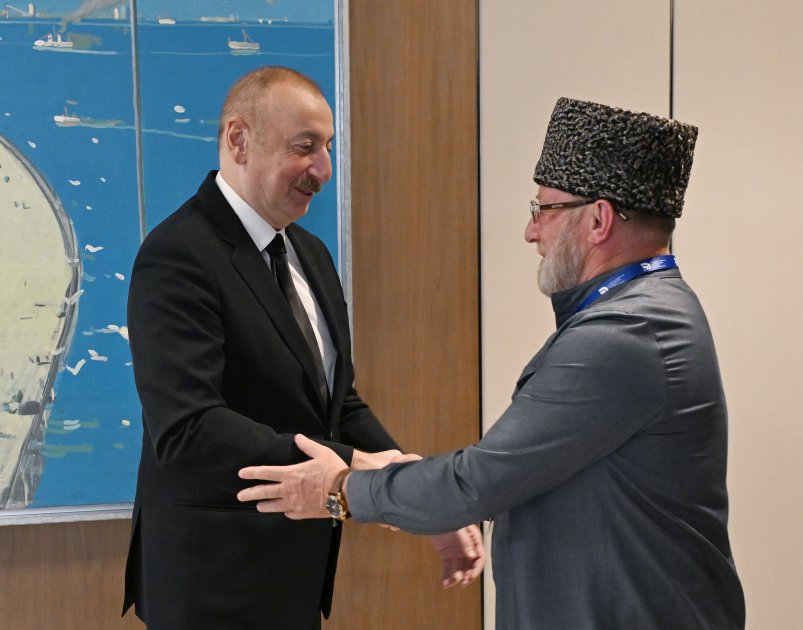 Prezident İlham Əliyev Rusiyanın Şimali Qafqaz regionunun müftilərindən ibarət nümayəndə heyətini qəbul edib (FOTO/VİDEO) (YENİLƏNİB)