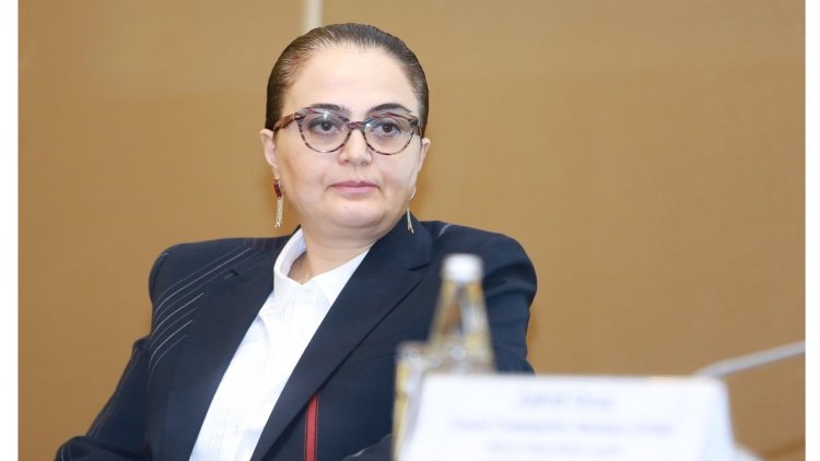 163 abidənin inventarlaşdırılması həyata keçirilə bilmir - Səadət Yusifova