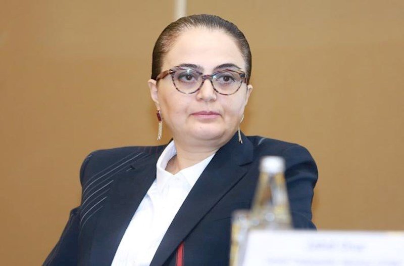 Azərbaycandakı mədəni irs nümunələri iqlim dəyişmələrindən sığortalanmayıb - Səadət Yusifova