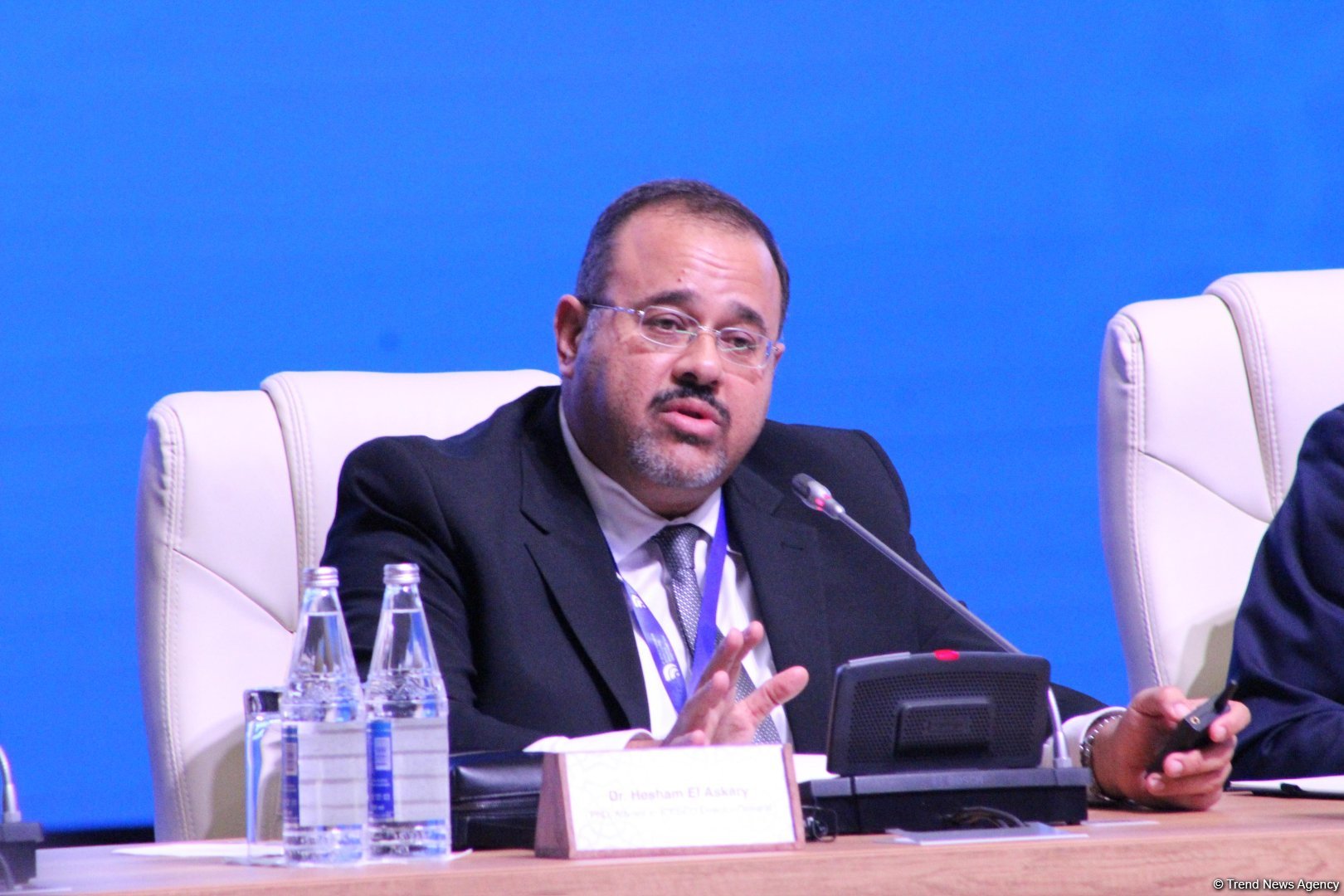 İqlim dəyişikliyinin təsirləri mədəni irs abidələrində hiss edilir - İSESCO Baş katibinin müşaviri