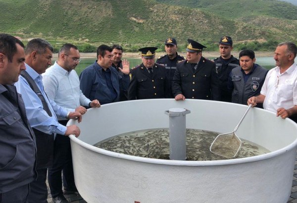 Suqovuşan su anbarına balıq körpələri buraxıldı