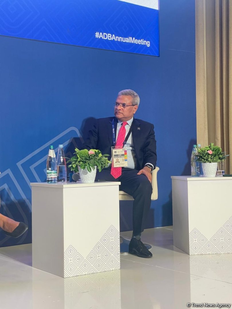 Özəl sektorun daha mürəkkəb sahələrdə iştirakına köməklik göstərmək lazımdır - AİB-in vitse-prezidenti