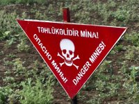 Beynəlxalq səyyahlar Cocuq Mərcanlıda (FOTO)