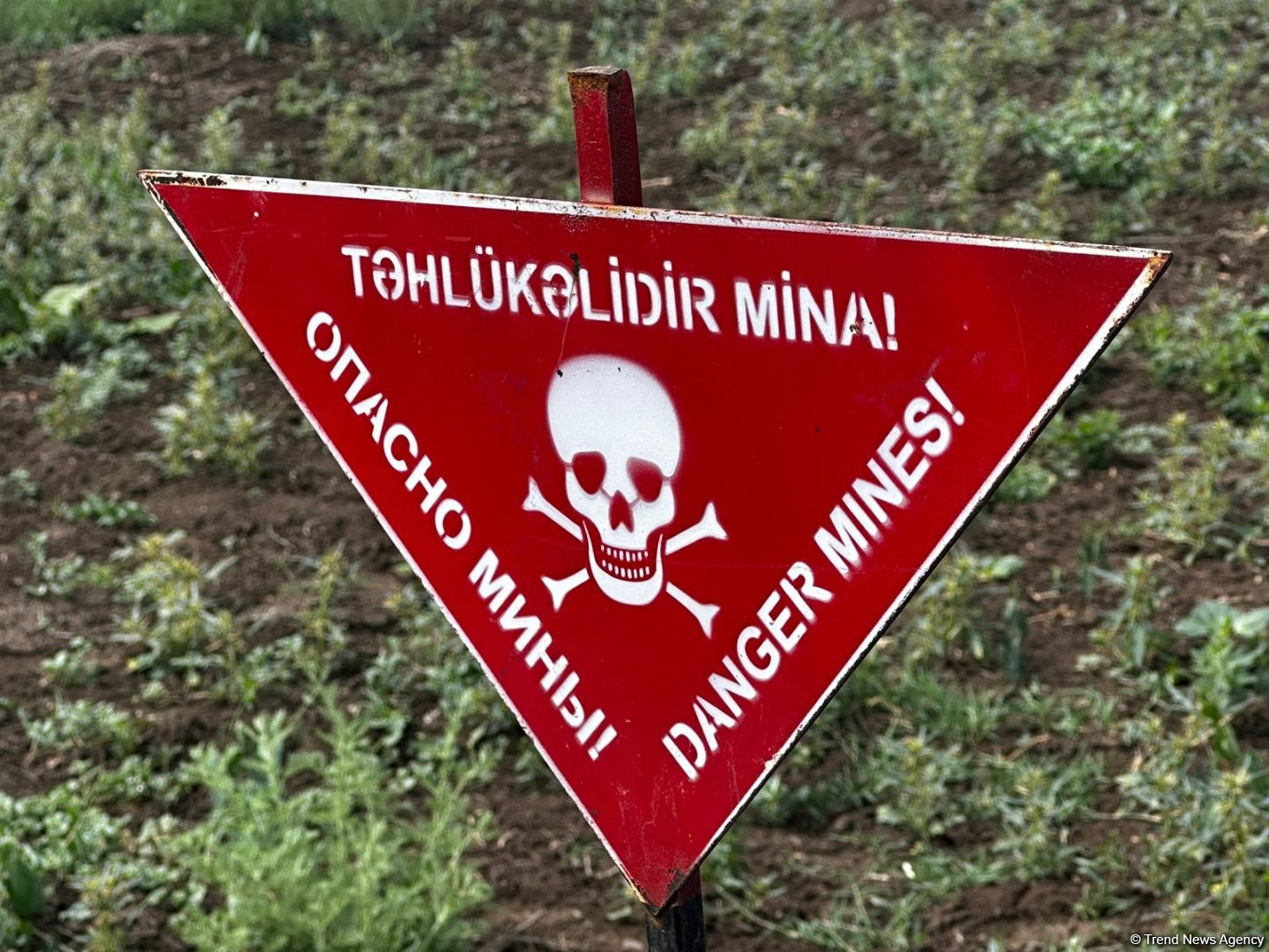 Beynəlxalq səyyahlar Cocuq Mərcanlıda (FOTO)