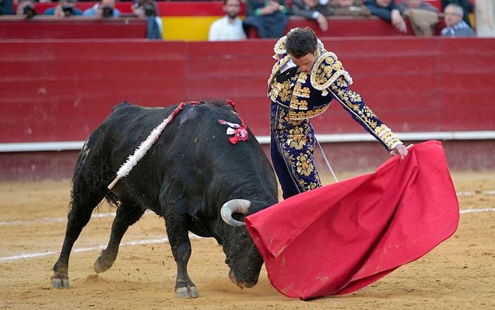 İspaniyada korrida üzrə milli mükafat ləğv edilib