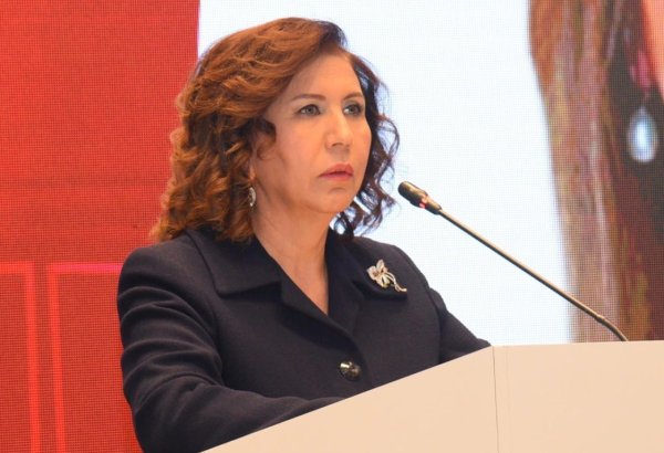 Regionlarda uşaq sığınacaq mərkəzlərinin sayının artırılmasına ehtiyac var - Bahar Muradova