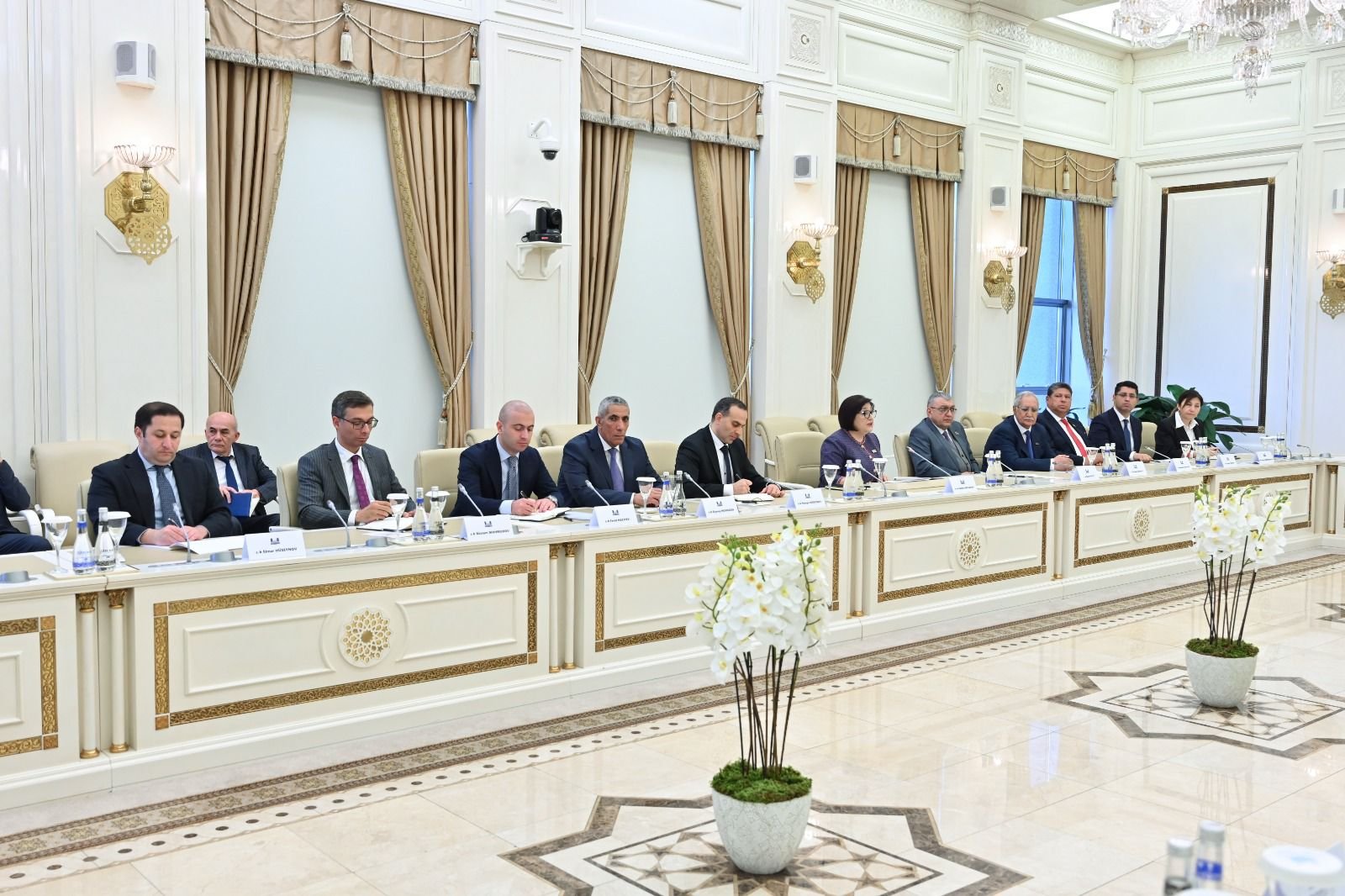 Milli Məclisin sədri ilə Bolqarıstan Prezidenti arasında görüş keçirilib (FOTO)