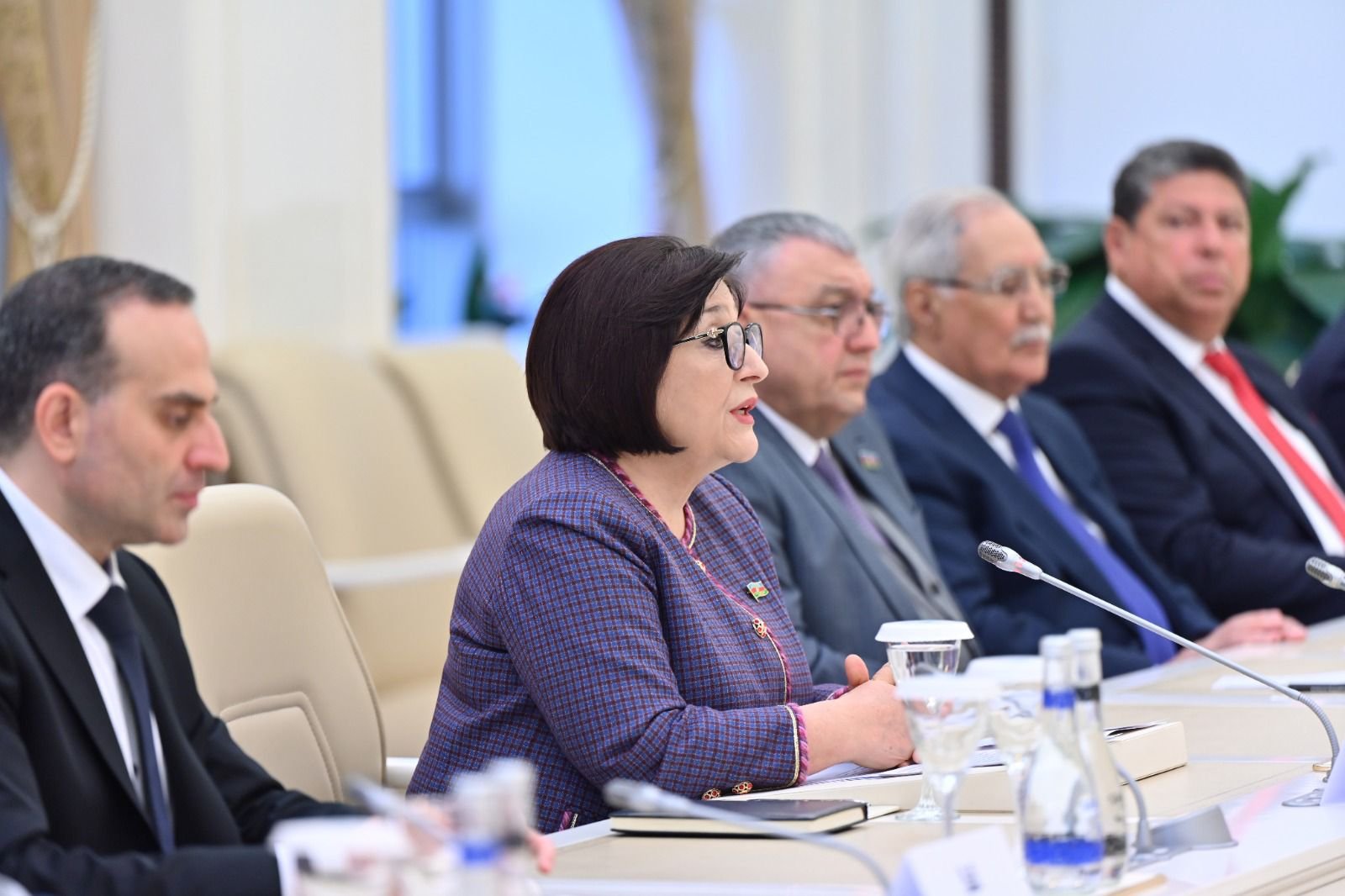 Milli Məclisin sədri ilə Bolqarıstan Prezidenti arasında görüş keçirilib (FOTO)