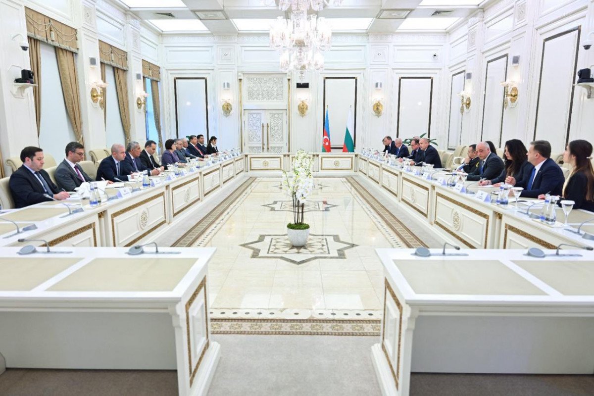 Milli Məclisin sədri ilə Bolqarıstan Prezidenti arasında görüş keçirilib (FOTO)