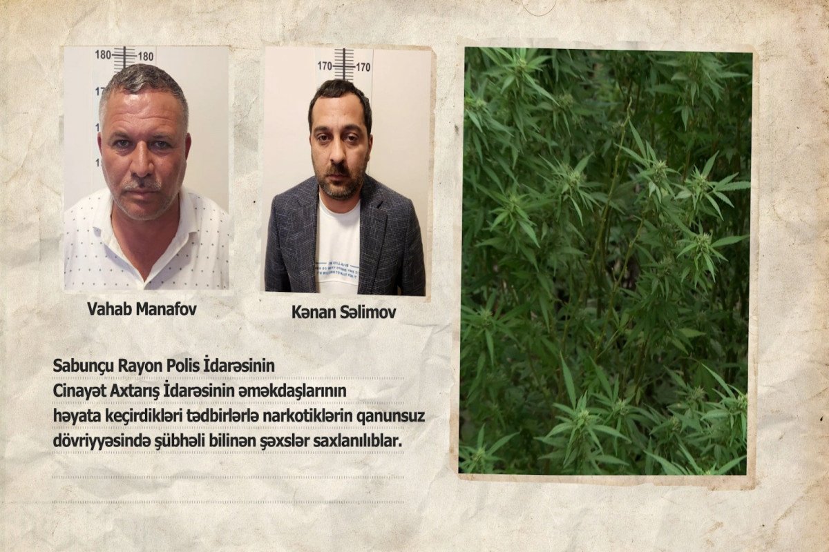 Sabunçuda narkoplantasiya aşkarlandı (FOTO)