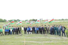 Xaçmaz rayonunda Ümummilli Lider Heydər Əliyevin anadan olmasının 101-ci ildönümü qeyd edilib