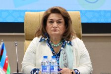 Sosial Tədqiqatlar Mərkəzində İDDO Psixi Sağlamlıq Proqramı təqdim olunub (FOTO)