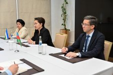 Sahibə Qafarova Özbəkistan Ali Məclisi Senatının sədri ilə görüşüb (FOTO)