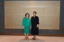 Sahibə Qafarova Özbəkistan Ali Məclisi Senatının sədri ilə görüşüb (FOTO)