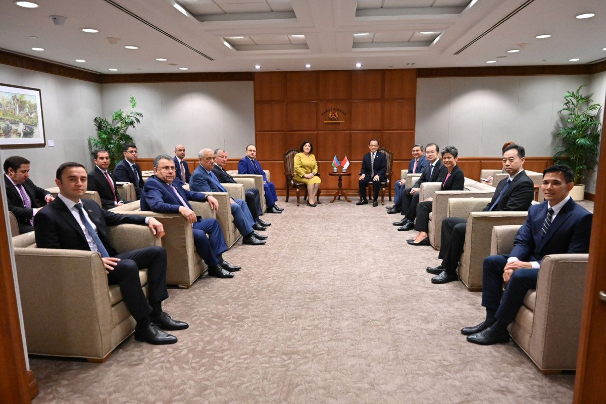 Milli Məclisin sədri Sinqapur parlamentinin sədri ilə görüşdü (FOTO)