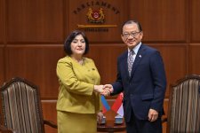 Milli Məclisin sədri Sinqapur parlamentinin sədri ilə görüşdü (FOTO)