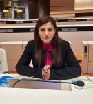 Ramil İsgəndərli Azərbaycan Milli QHT Forumunun yeni rəhbəri seçilib (FOTO)