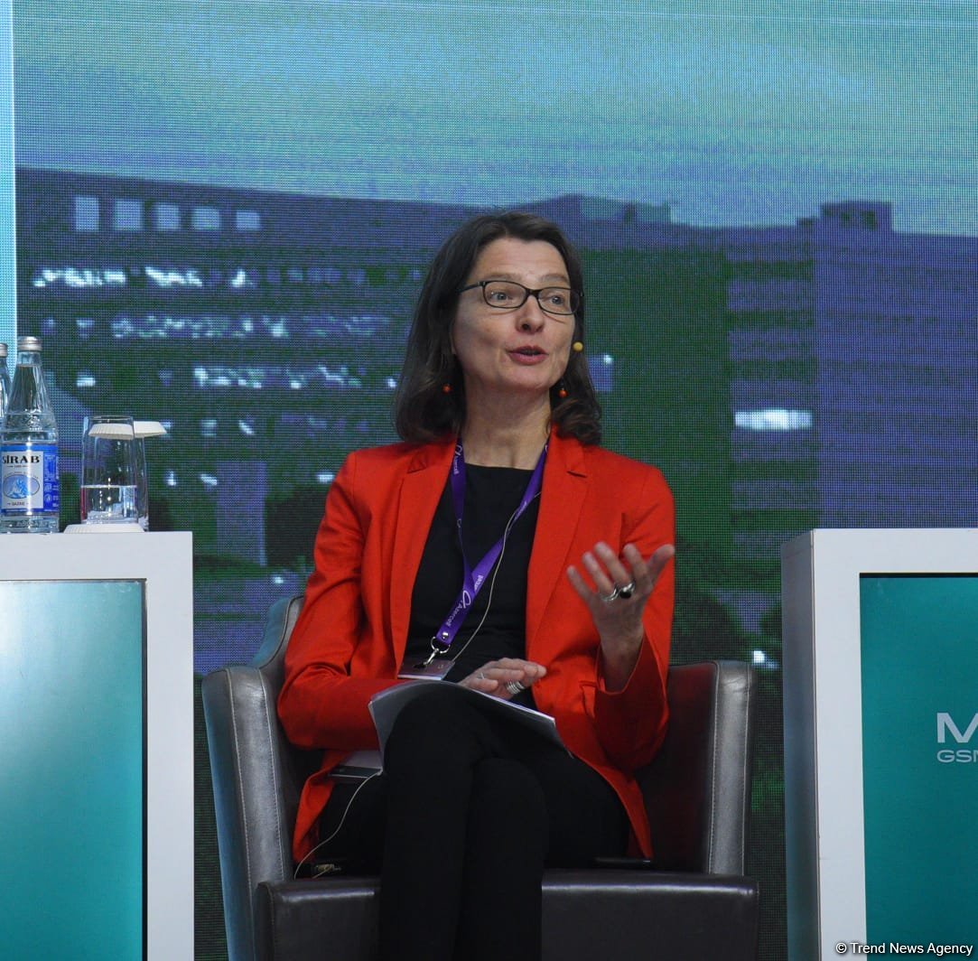 Rəqəmsal bacarıqların inkişafı Azərbaycanda aktual mövzudur - Stefanie Stallmeister