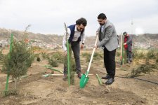 “Yaşıl dünya naminə həmrəylik ili” çərçivəsində SOCAR-ın təşkilatçılığı ilə ağacəkmə aksiyası keçirilib (FOTO)