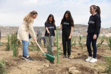 “Yaşıl dünya naminə həmrəylik ili” çərçivəsində SOCAR-ın təşkilatçılığı ilə ağacəkmə aksiyası keçirilib (FOTO)