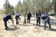 “Yaşıl dünya naminə həmrəylik ili” çərçivəsində SOCAR-ın təşkilatçılığı ilə ağacəkmə aksiyası keçirilib (FOTO)