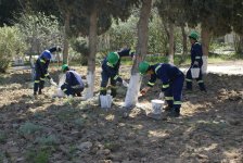 “Yaşıl dünya naminə həmrəylik ili” çərçivəsində SOCAR-ın təşkilatçılığı ilə ağacəkmə aksiyası keçirilib (FOTO)