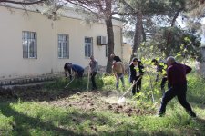 “Yaşıl dünya naminə həmrəylik ili” çərçivəsində SOCAR-ın təşkilatçılığı ilə ağacəkmə aksiyası keçirilib (FOTO)