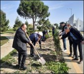 “Yaşıl dünya naminə həmrəylik ili” çərçivəsində SOCAR-ın təşkilatçılığı ilə ağacəkmə aksiyası keçirilib (FOTO)